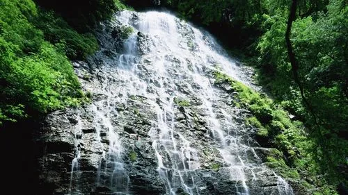 工业节能高端
